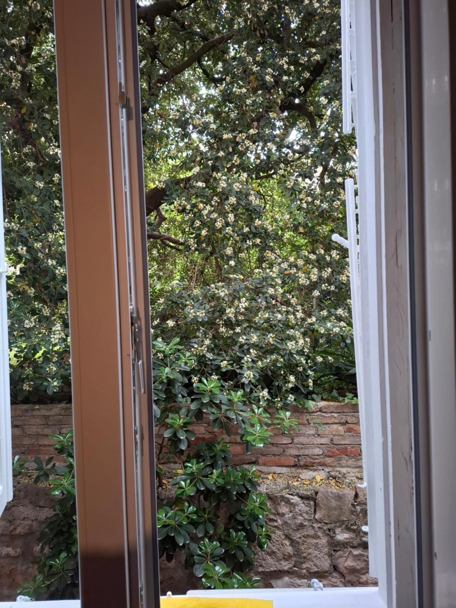 Studio Ella Dubrovník Exteriér fotografie