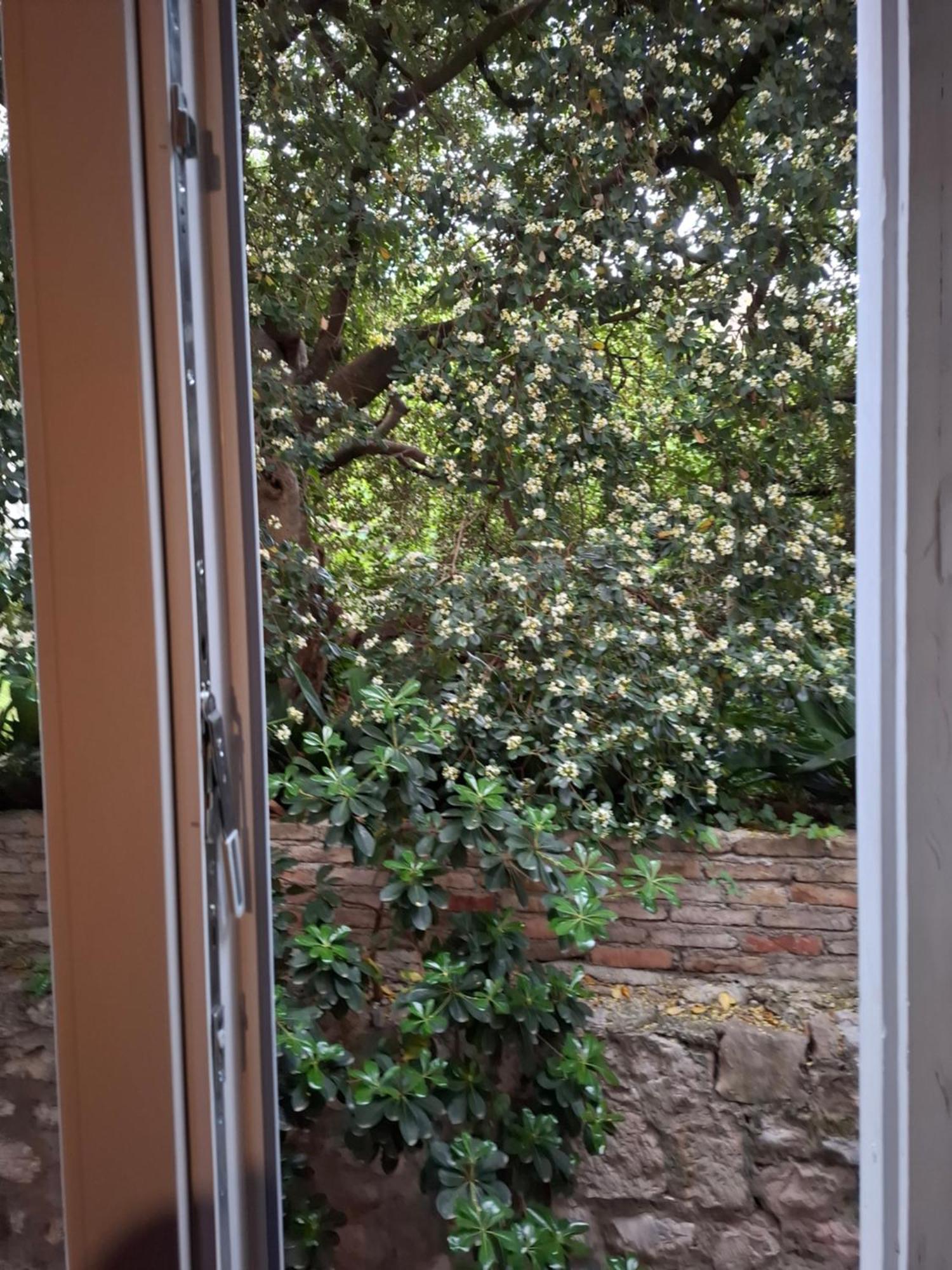 Studio Ella Dubrovník Exteriér fotografie